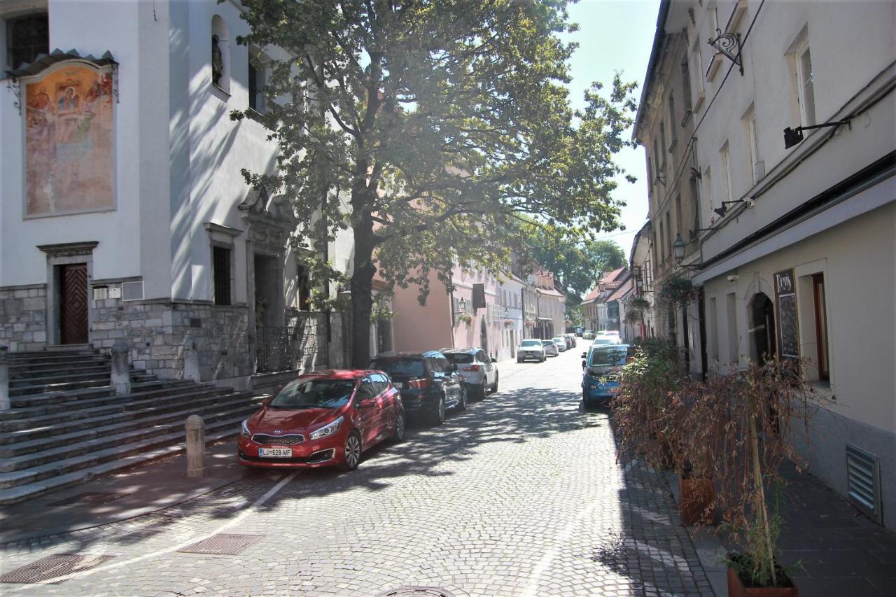 Pink House Studio Lublana Zewnętrze zdjęcie