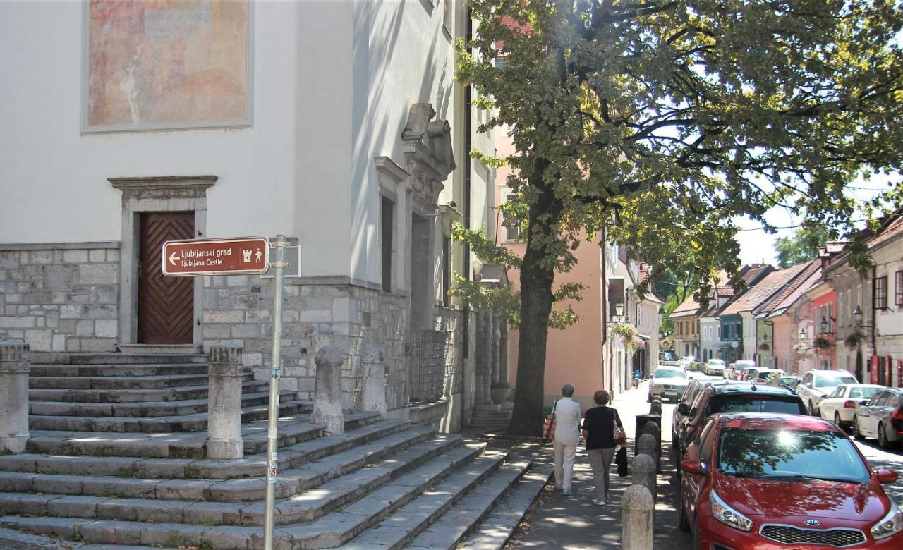 Pink House Studio Lublana Zewnętrze zdjęcie